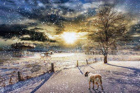 70,000+ Free Snow Storm & Storm Images - Pixabay