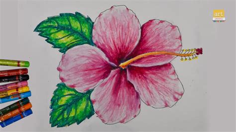 20 Easy Hibiscus Drawing Ideas Draw A Hibiscus