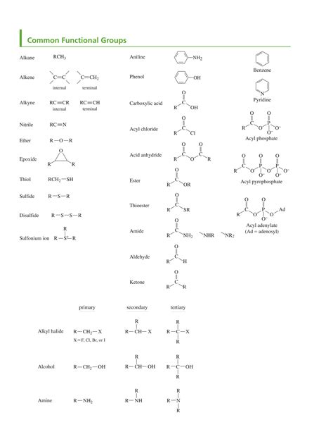 Solution Paula Yurkanis Bruice Essential Organic Chemistry Pearson