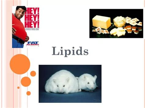 Ppt Lipids Powerpoint Presentation Free Download Id2720690