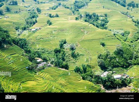 A Beautiful View Of Rice Fields In Sa Pa Vietnam Stock Photo Alamy