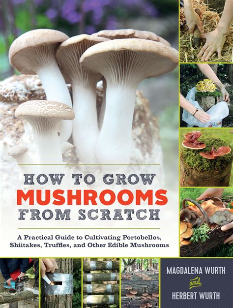 How To Grow Mushrooms From Scratch A Practical Guide To Cultivating