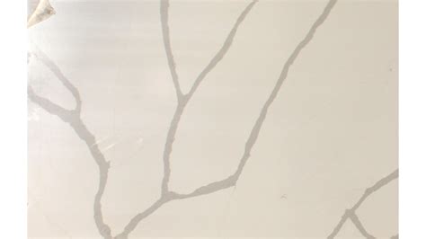 Calacatta Siera Q Premium Quartz Countertops Pacific Wa