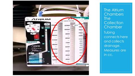 Chest Tube Atrium