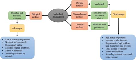 Methods Of Delignification And Comparative Advantages And Disadvantages