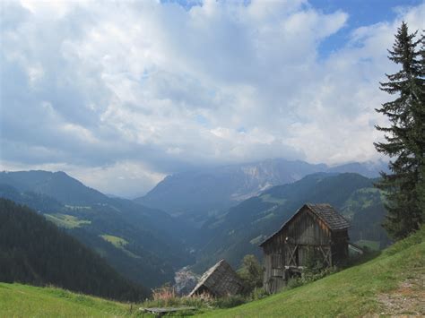 Free Images Landscape Nature Forest Wilderness Walking Meadow