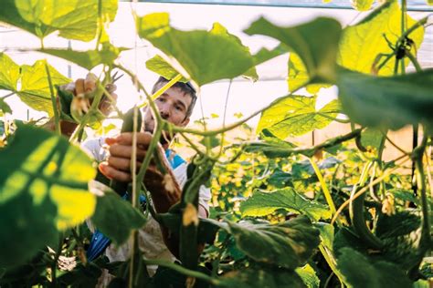 People and Places that Grow Hawai‘i’s Food - Hawaii Business Magazine