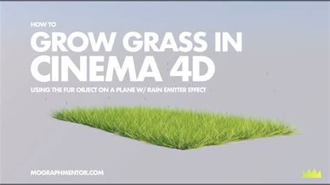 How To Grow Grass In Cinema D Youtube