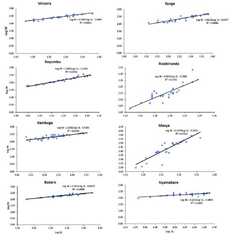 Length Weight Relationships Of The Population Of O Niloticus In The Download Scientific