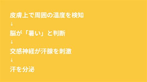 汗をかいても脂肪は燃えない？汗と体温の関係を解説｜base Food Note