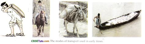 The Story Of Transport CBSE Tuts