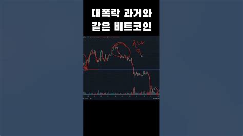 대폭락 직전인 비트코인도지리플이더리움 Youtube