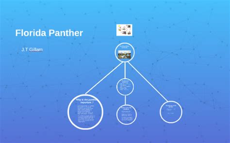 Florida panther food web by JT Gillam on Prezi