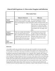 Clinical Field Experience A Observation Template And Reflection Docx