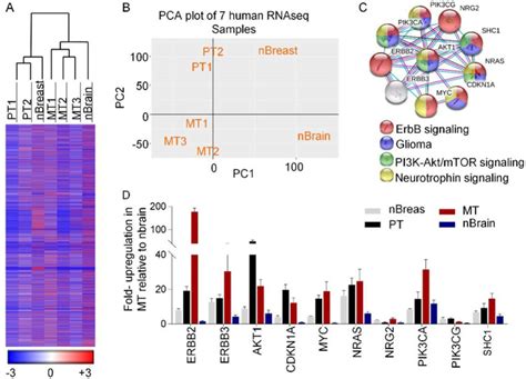 Rna Seq Analysis Of Two Primary Breast Tumors Pt1 2 One Normal