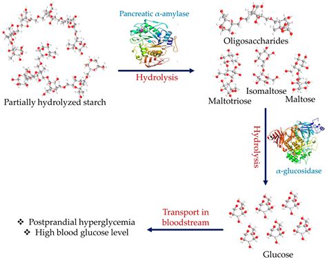 plants  full text  insights   latest advancement