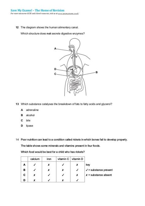 7 Human Nutrition Qp Igcse Cie Biology