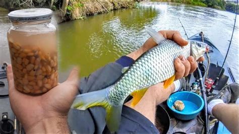 Massa de pesca o que é receitas e como armazenar