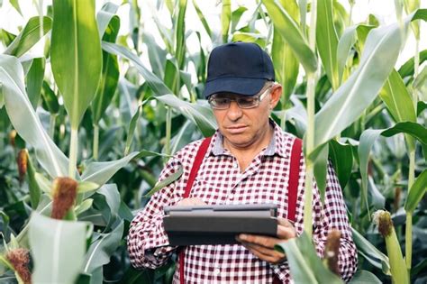 Premium Photo Farmer Using Digital Tablet Computer In Corn Field At