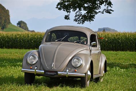 VW Käfer Brezelfenster 1952