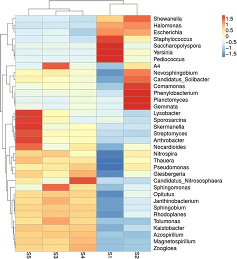 Heat Maps Of Species Abundance Clustering The Genus Classification Download Scientific Diagram