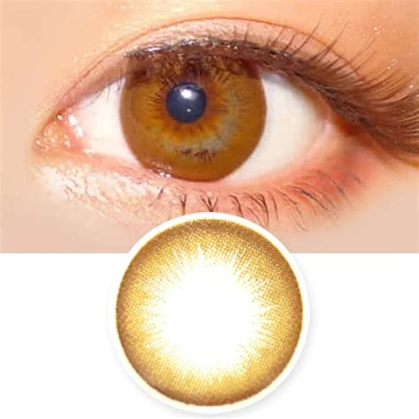 Understanding Toric Contact Lenses A Comprehensive Guide Martlabpro