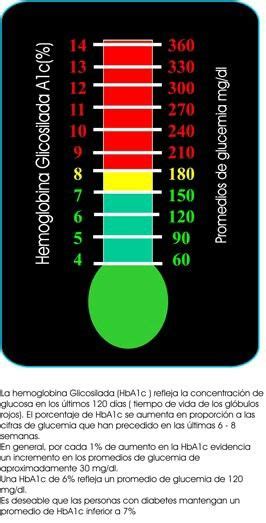 Hemoglobina Glicosilada Hemoglobina Glicosilada Cosas De Enfermeria