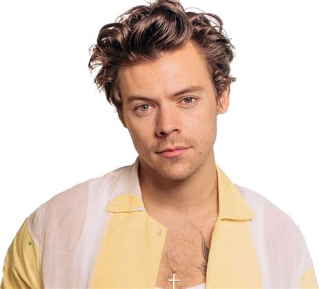 Harry Styles Png File Download Free Png All