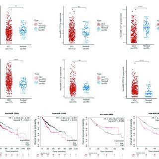 Altered Microrna Expression And The Relationship With Overall Survival