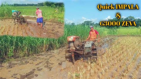 Dua Traktor Kompak Kerjasama Membajak Lahan Sawah Dengan Air Youtube