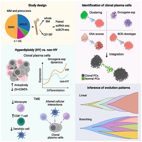 Cancer Cell：王凌华团队在单细胞水平刻画多发性骨髓瘤的前体疾病及其克隆演化模式 澎湃号·湃客 澎湃新闻 The Paper