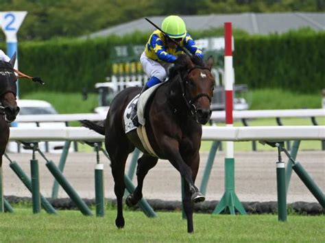 【メイクデビュー中京5rレース後コメント】スリーキングス岩田康誠騎手ら 競馬ニュース Netkeiba