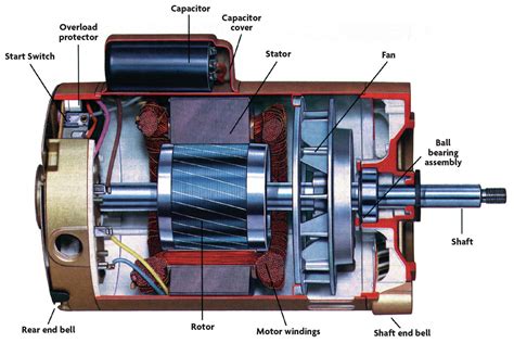 Bearing Replacements| Pool Spa News, 41% OFF