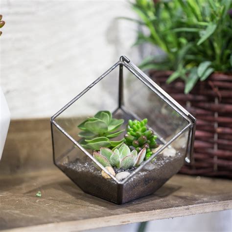 NCYP Geometric Glass Terrarium Close With Door Cube Shape Etsy