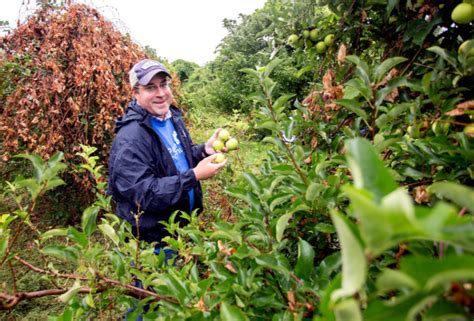 Our Valiant Volunteers In Action Rolling Harvest Food Rescue