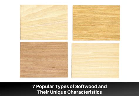 Popular Types Of Softwood And Their Unique Characteristics