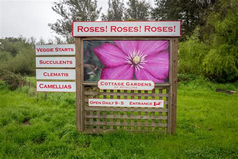 Petaluma Cottage Gardens The Blissful Gardeners