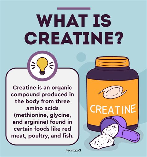 Creatine vs Carnitine: Do You Need Both? Differences Explained - FeastGood.com