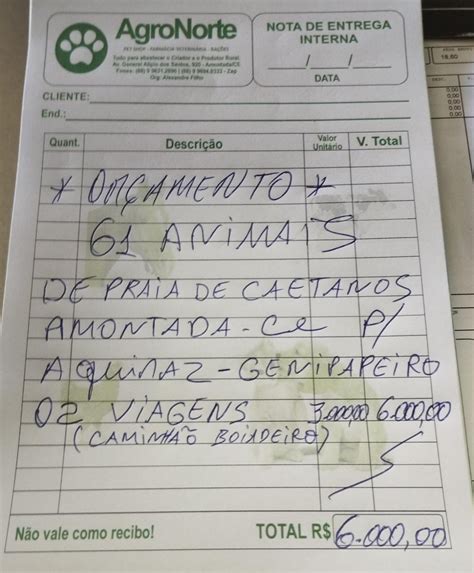 Lar Dos Pancinhas On Twitter Consegui Mil Prefeito De Amontada