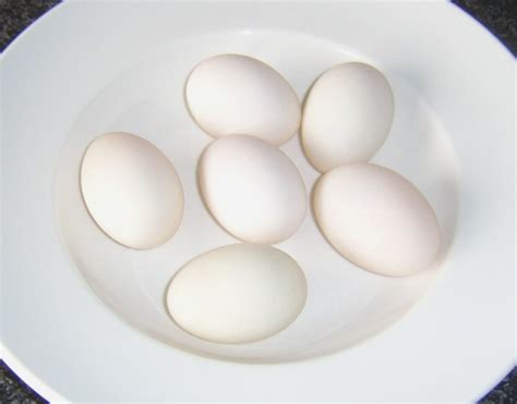 How To Cook Duck Eggs 10 Different Ways Delishably