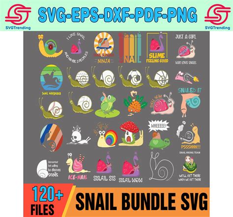 Small Bundle Svg Files For Cricut And Silhouette Machines Snail Clipart