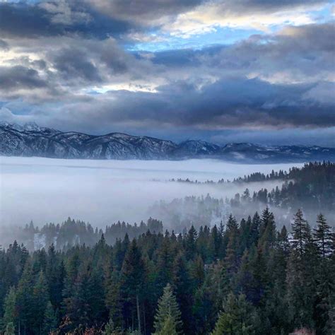 Candice Burt: Silent Goodbye