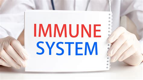 Boost Your Immune System With Chiropractic Care Page