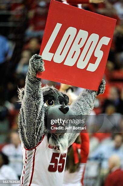 Lobo Louie Photos and Premium High Res Pictures - Getty Images