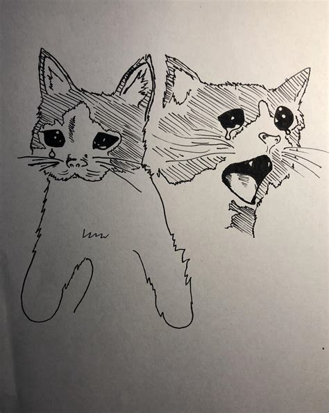 Drew the Crying cat meme : r/doodles