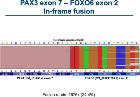 Ngs Read Alignment To The Reference Genome Hg Shows The Identified