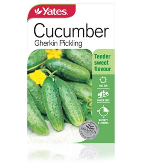 Cucumber Gherkin Pickling Garden Seeds Yates Australia