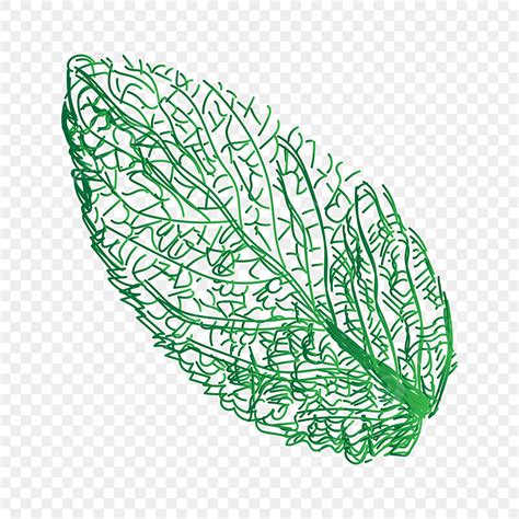 Leaf Vein Vector Hd PNG Images, Mint Leaf Veins, Mint Leaf, Mint, Tea PNG Image For Free Download