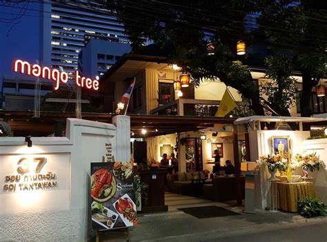 Mango Tree Vietrf