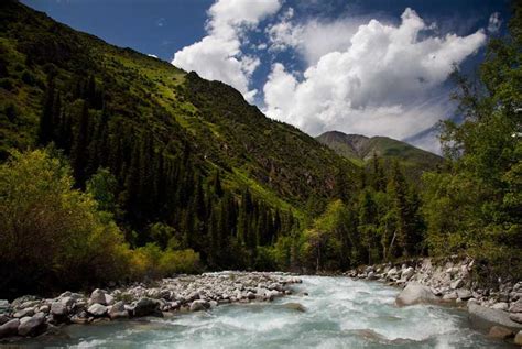 Kyrgyzstan Advances Forest Monitoring In Support Of The Sustainable